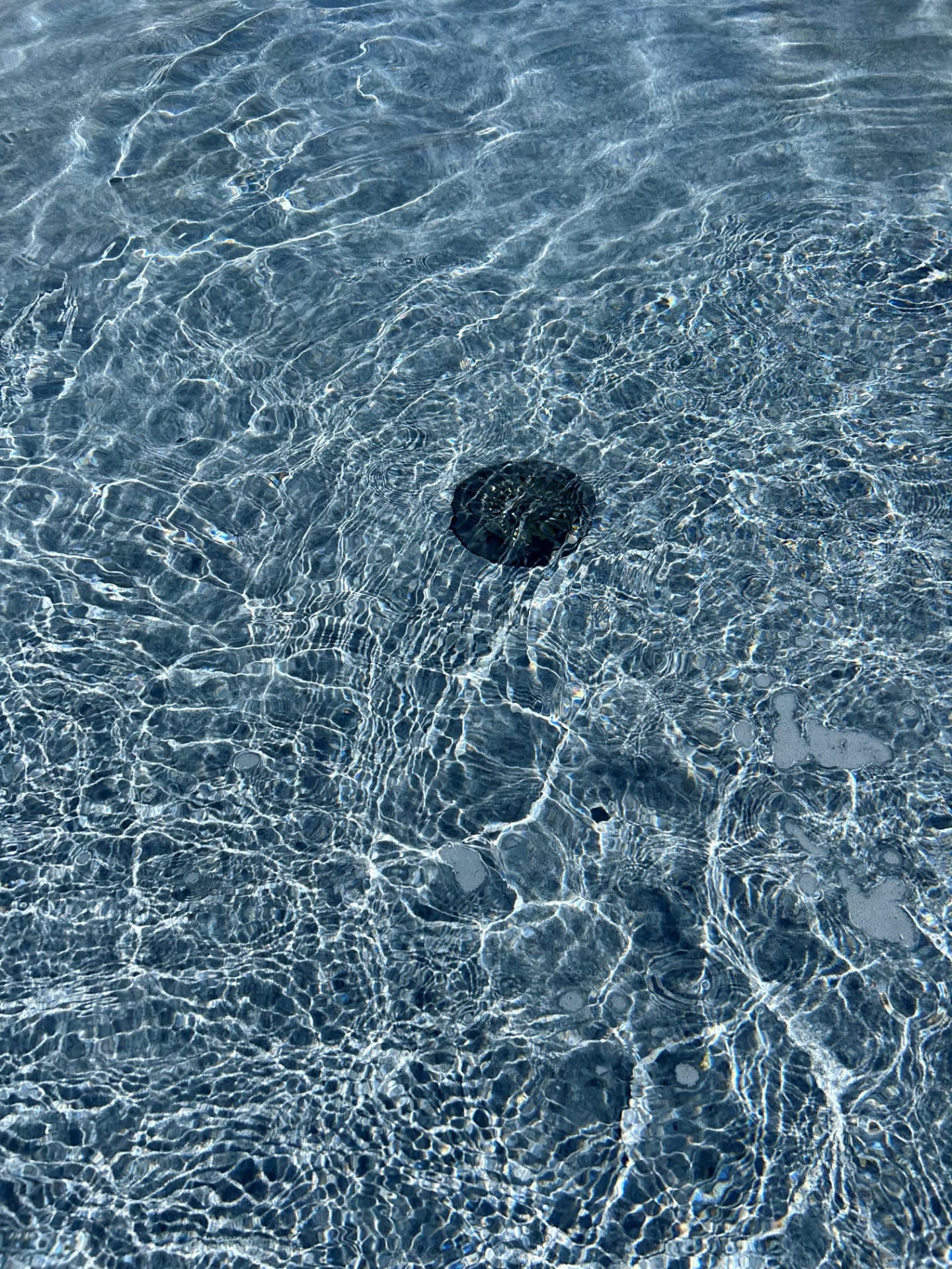 Eau limpide d'une piscine résidentielle rénovée, vue plongeante